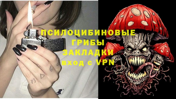 кристаллы Гусев