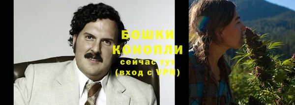 дживик Гусь-Хрустальный