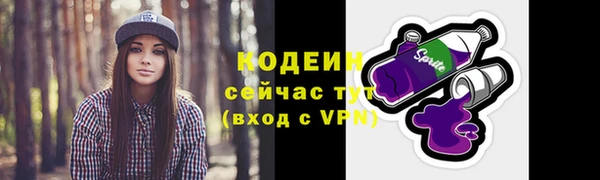 дживик Гусь-Хрустальный