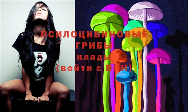 дживик Гусь-Хрустальный
