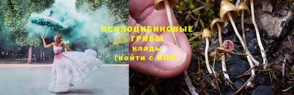 дживик Гусь-Хрустальный