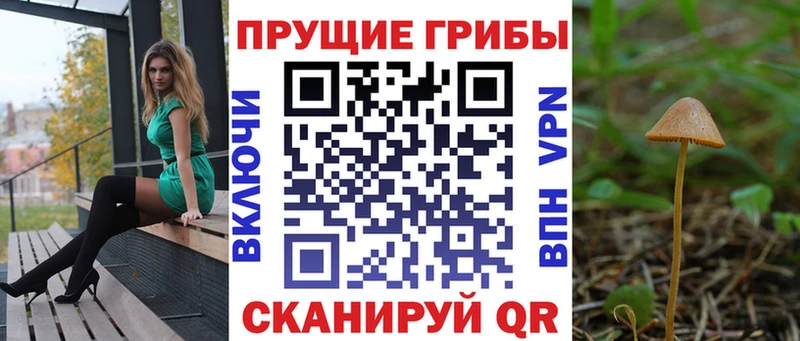 Псилоцибиновые грибы мицелий  Черепаново 